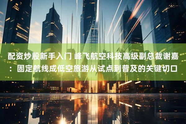 配资炒股新手入门 峰飞航空科技高级副总裁谢嘉：固定航线成低空旅游从试点到普及的关键切口