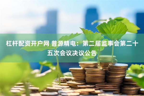 杠杆配资开户网 普源精电：第二届监事会第二十五次会议决议公告